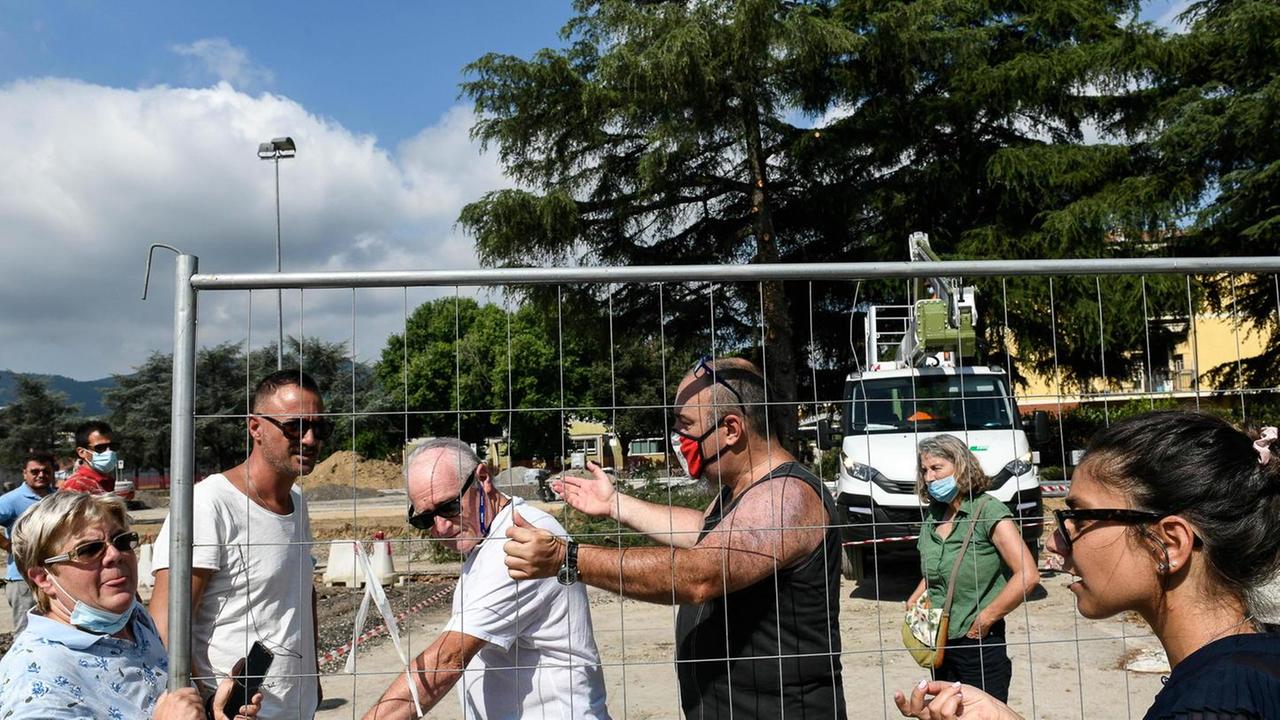 Cedri abbattuti, la polemica infuoca Il Comune: «Vie legali con chi ci denigra»
