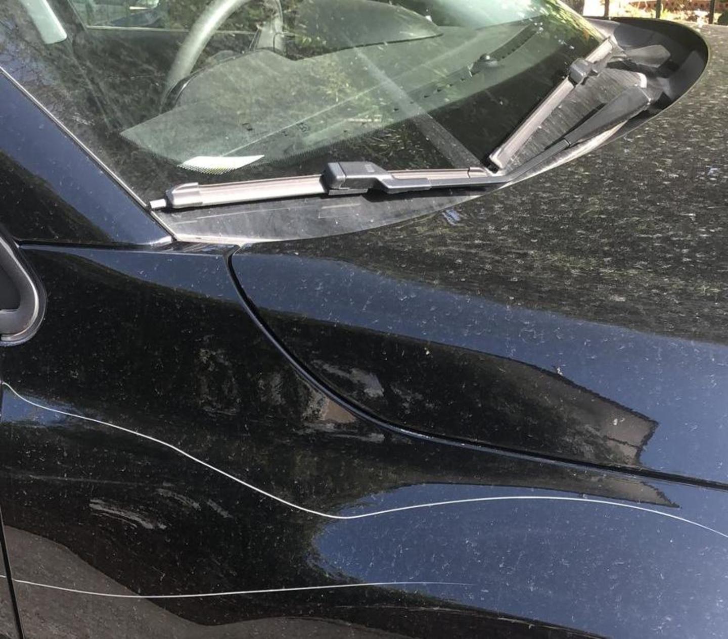 Raid dei vandali durante la notte, rigate decine di auto a Castiglioncello