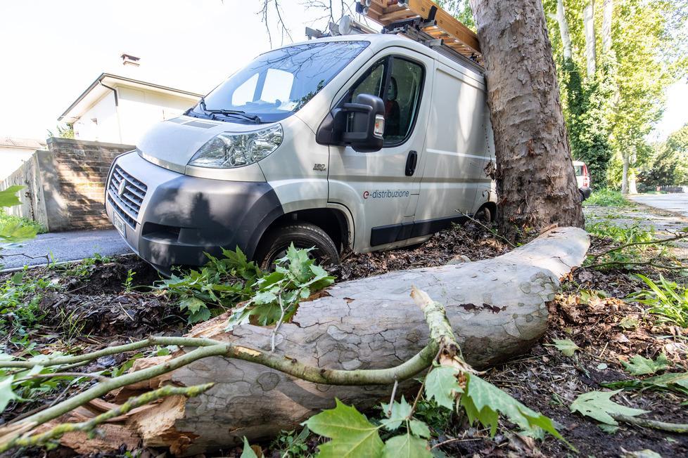 Fulmini su ex S.Anna e Posta A Voghenza crolla un albero 