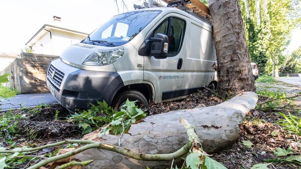 Fulmini su ex S.Anna e Posta A Voghenza crolla un albero