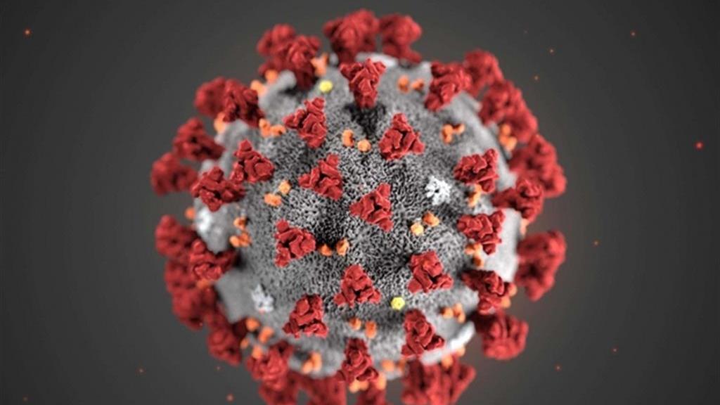 Coronavirus in Toscana, dieci nuovi casi e nessun decesso