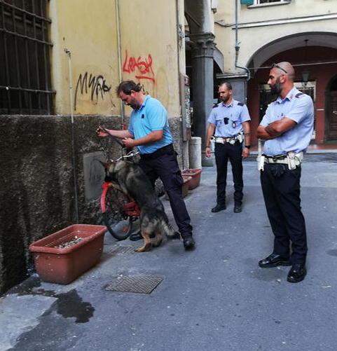 Lotta allo spaccio con i cani antidroga, nel mirino i vani dei contatori in strada 