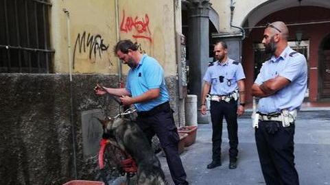 Lotta allo spaccio con i cani antidroga, nel mirino i vani dei contatori in strada