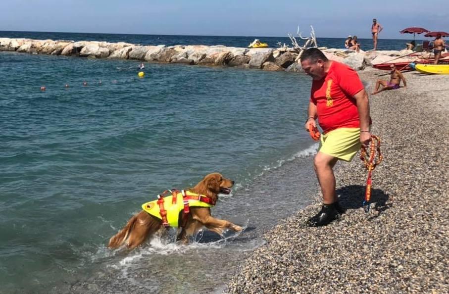 I cani bagnino si esercitano nelle acque delle Gorette 