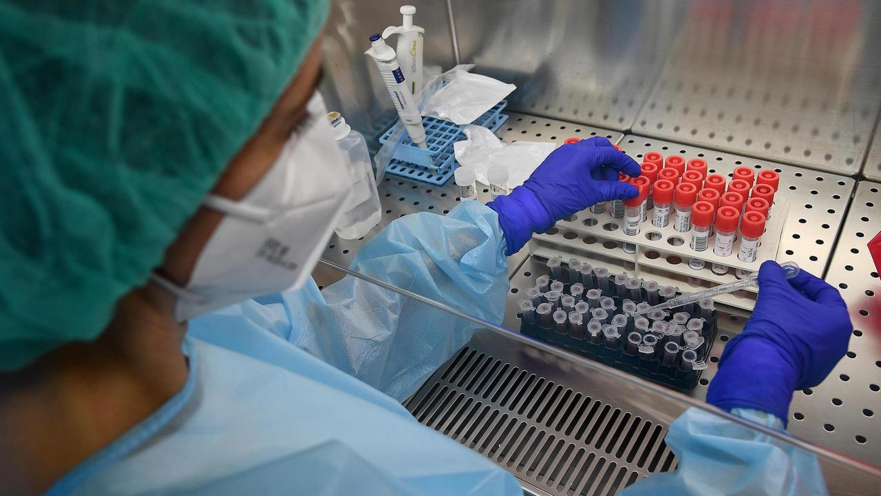 Coronavirus, zero positivi e nessun nuovo ricovero nel Ferrarese