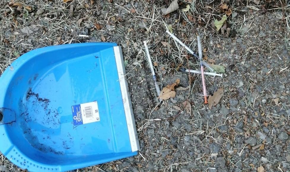 Reggio Emilia, gli Hogs ripuliscono via Agosti dalle siringhe: «Dateci un campo dove giocare» 