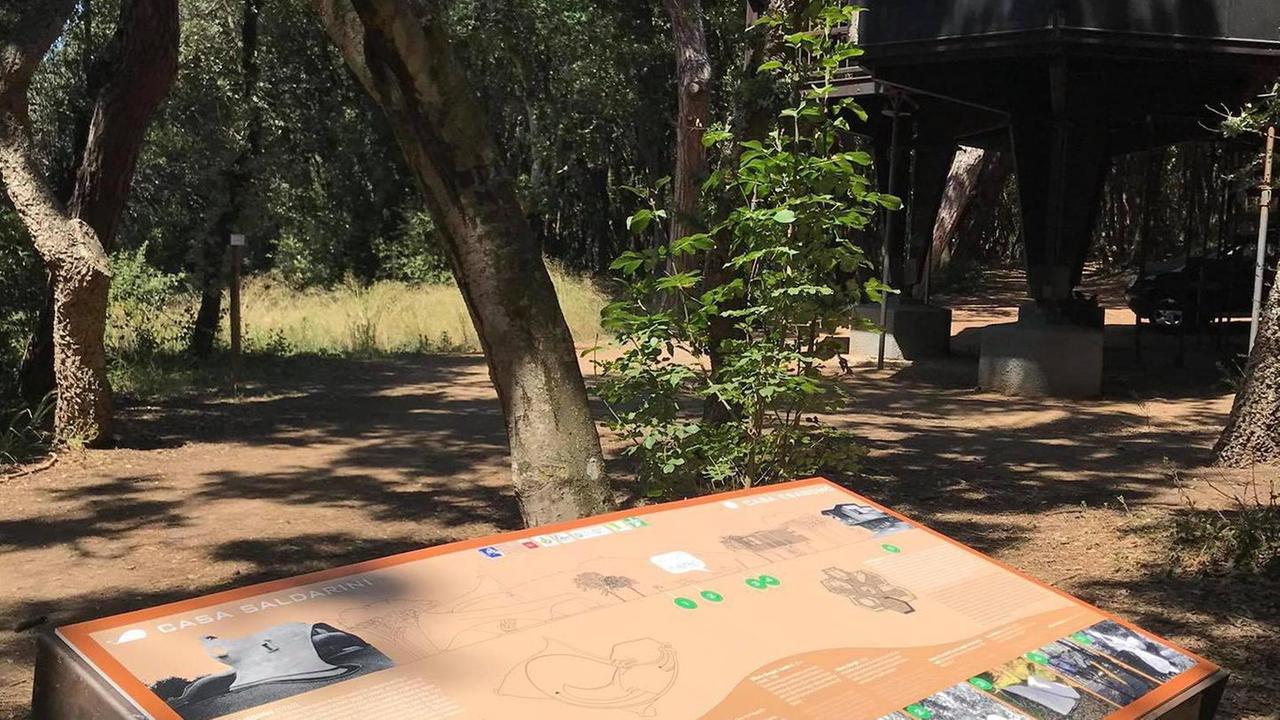 Giorgini e Baratti: una via e una mostra dedicate all’architetto innamorato del Golfo