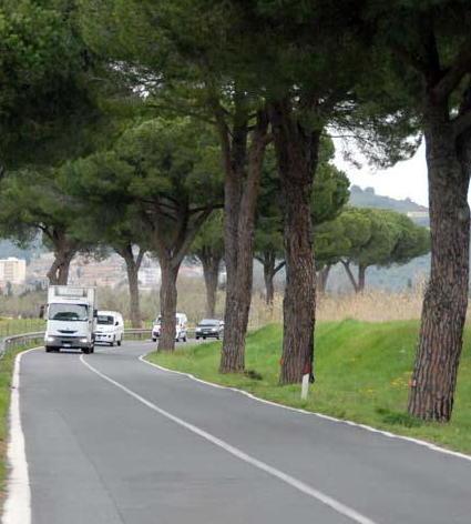 Tre mesi di cantieri sulla 398 Al via le manutenzioni Anas 
