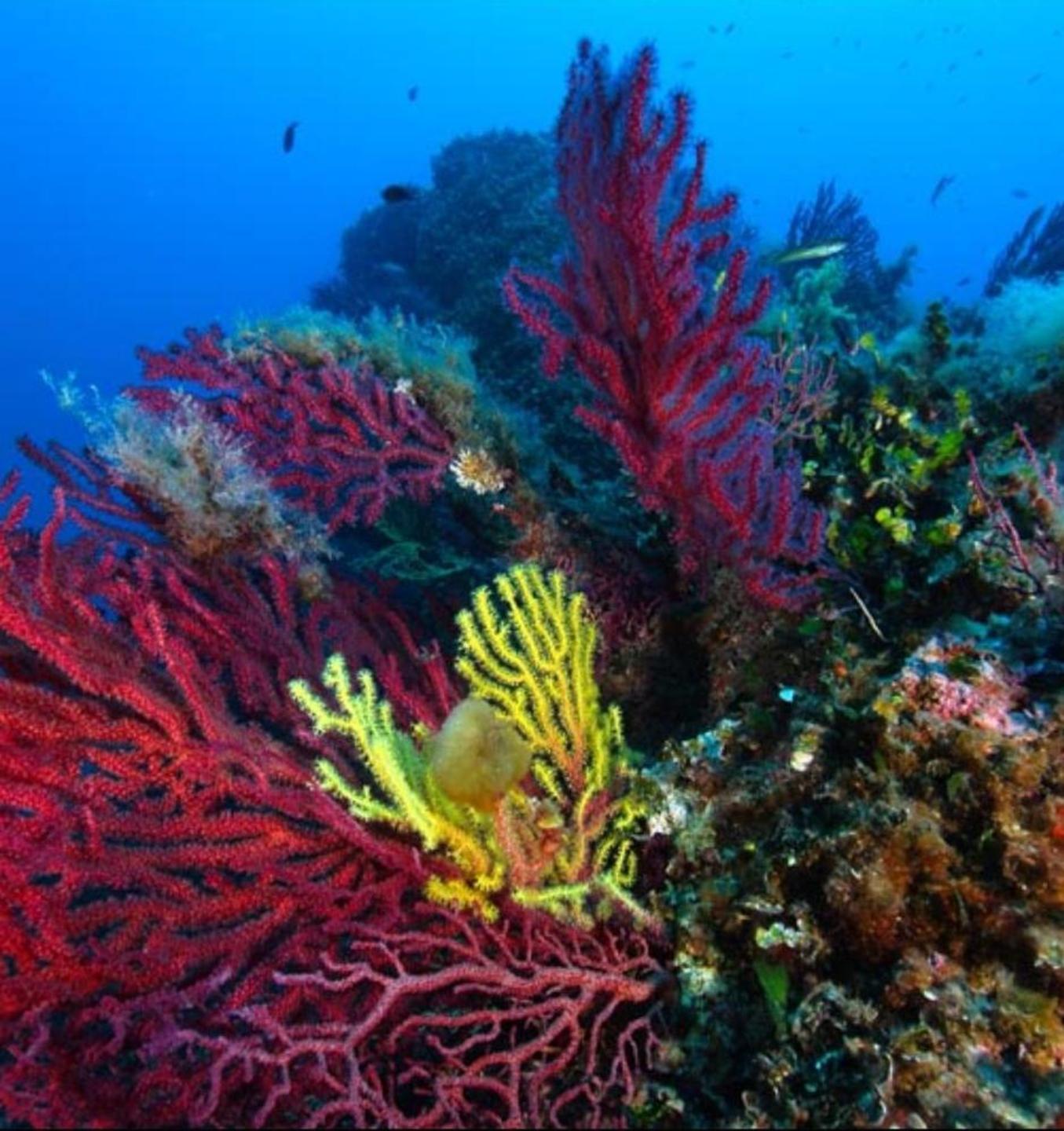 Studio dei cambiamenti climatici una campagna di monitoraggio 