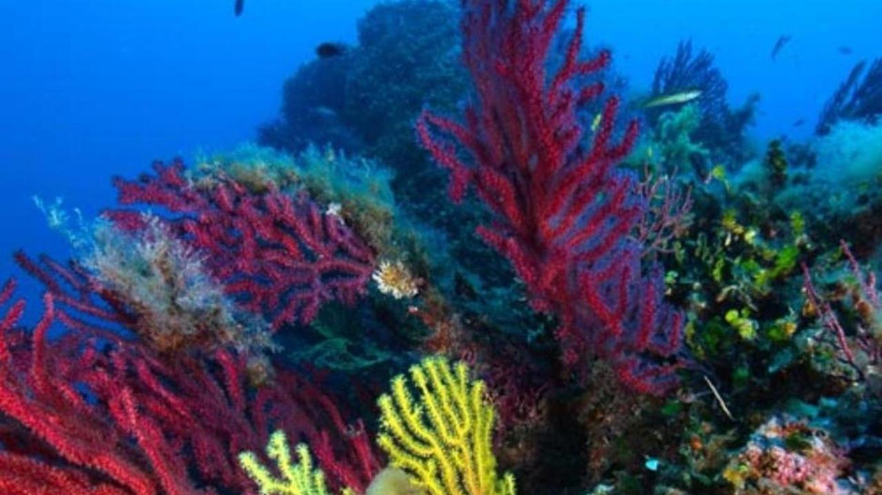 Studio dei cambiamenti climatici una campagna di monitoraggio