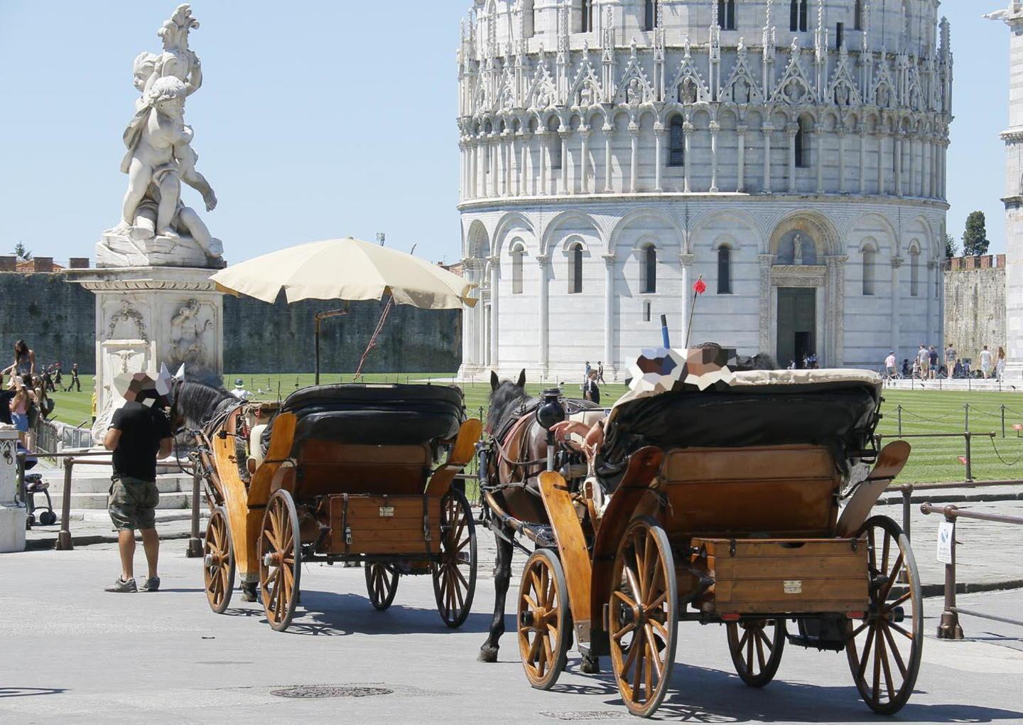 Le carrozze in attesa di turisti in piazza dei Miracoli
