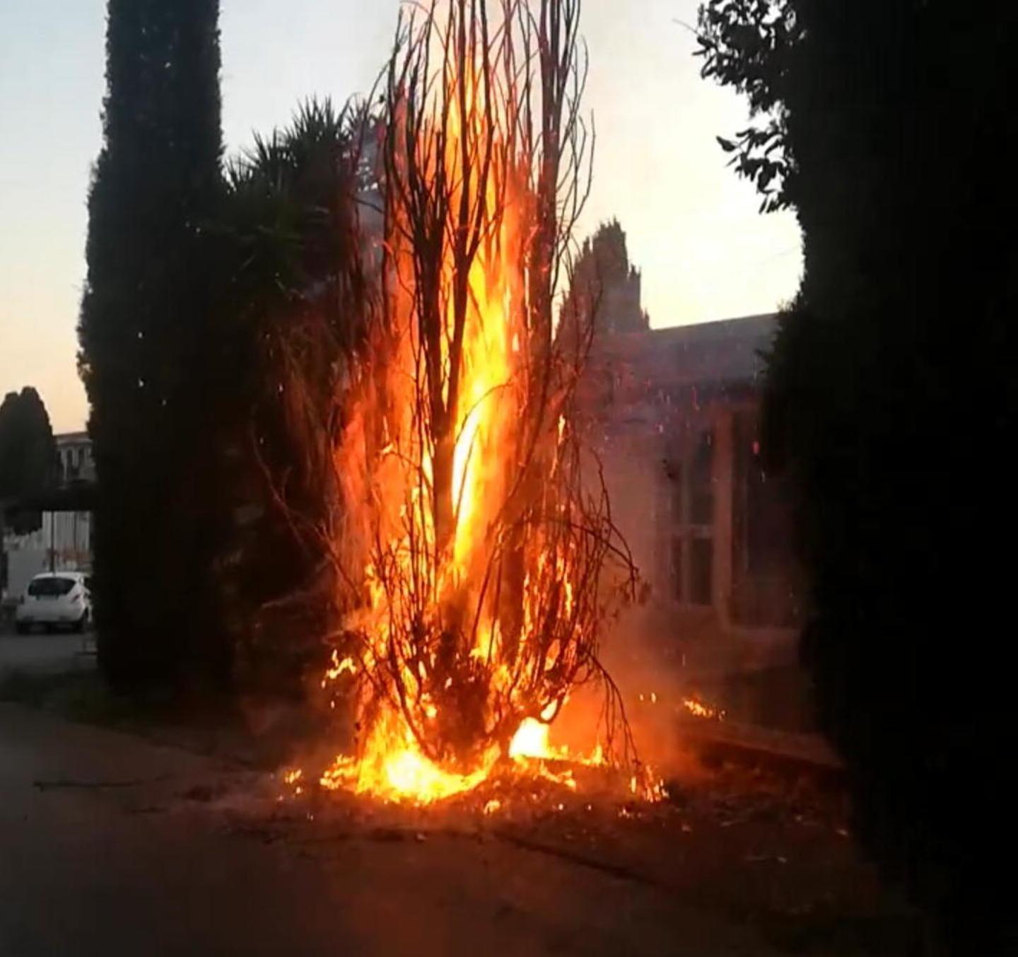 Le fiamme al cipresso nei pressi del cimitero