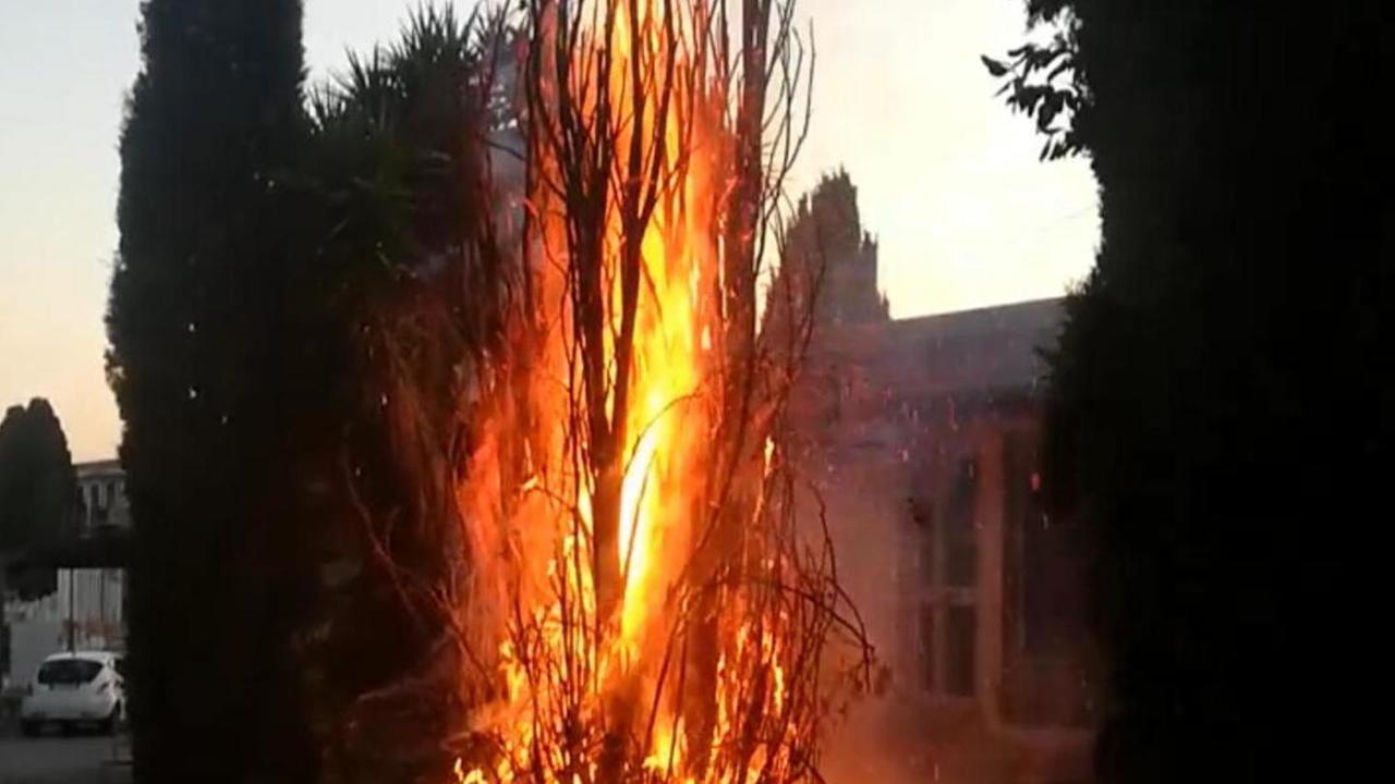 Le fiamme al cipresso nei pressi del cimitero