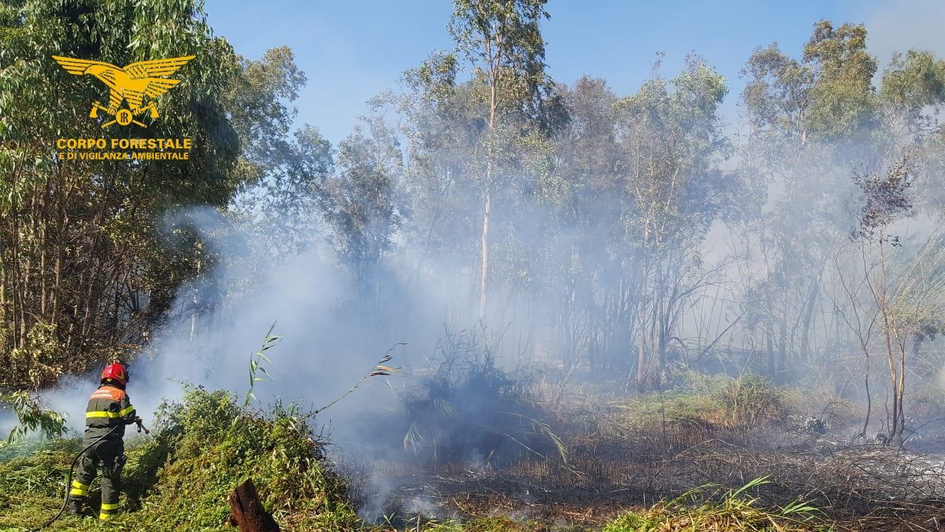 Tredici incendi in Sardegna, elicotteri a Burgos e Baratili San Pietro