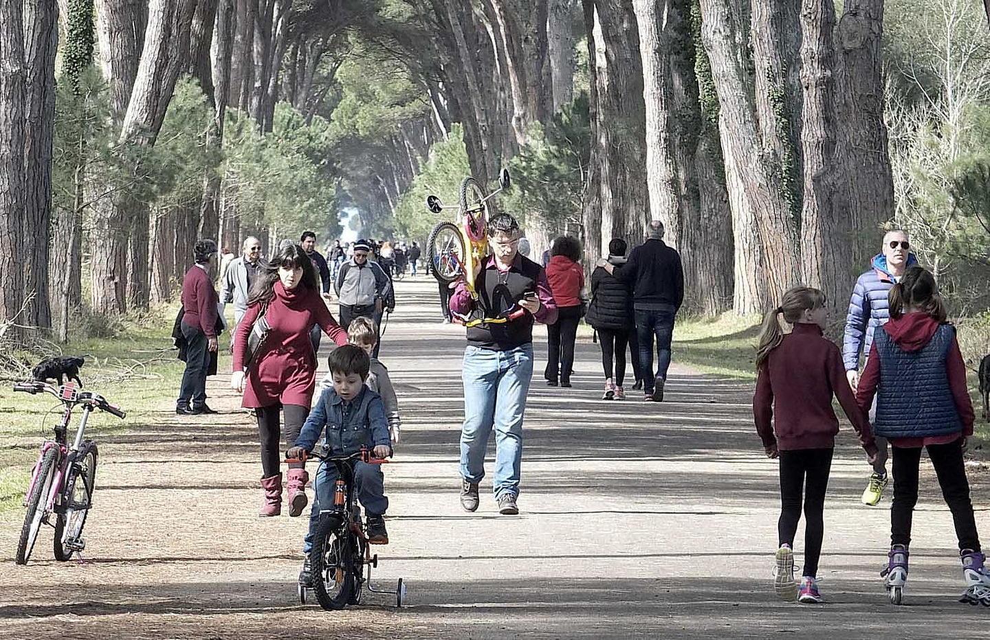 Parco, Legambiente e Nardini (Pd) contro il sindaco 