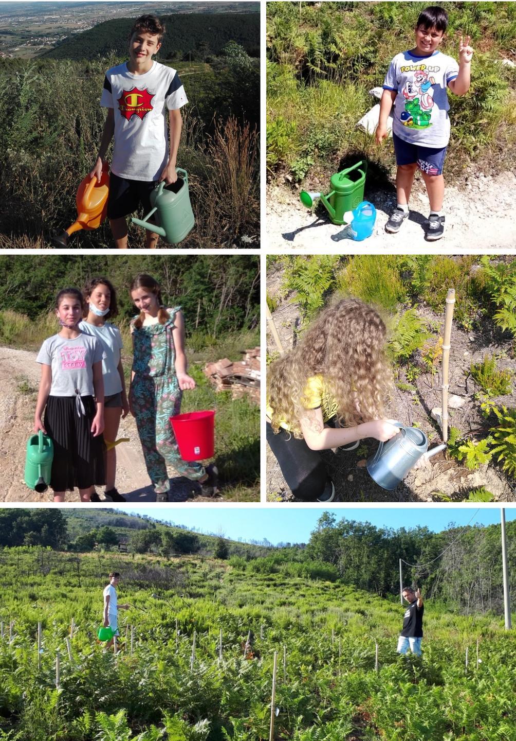 Un pezzo di Monte Pisano rinasce grazie ai bambini del catechismo