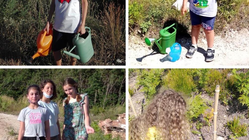 Un pezzo di Monte Pisano rinasce grazie ai bambini del catechismo