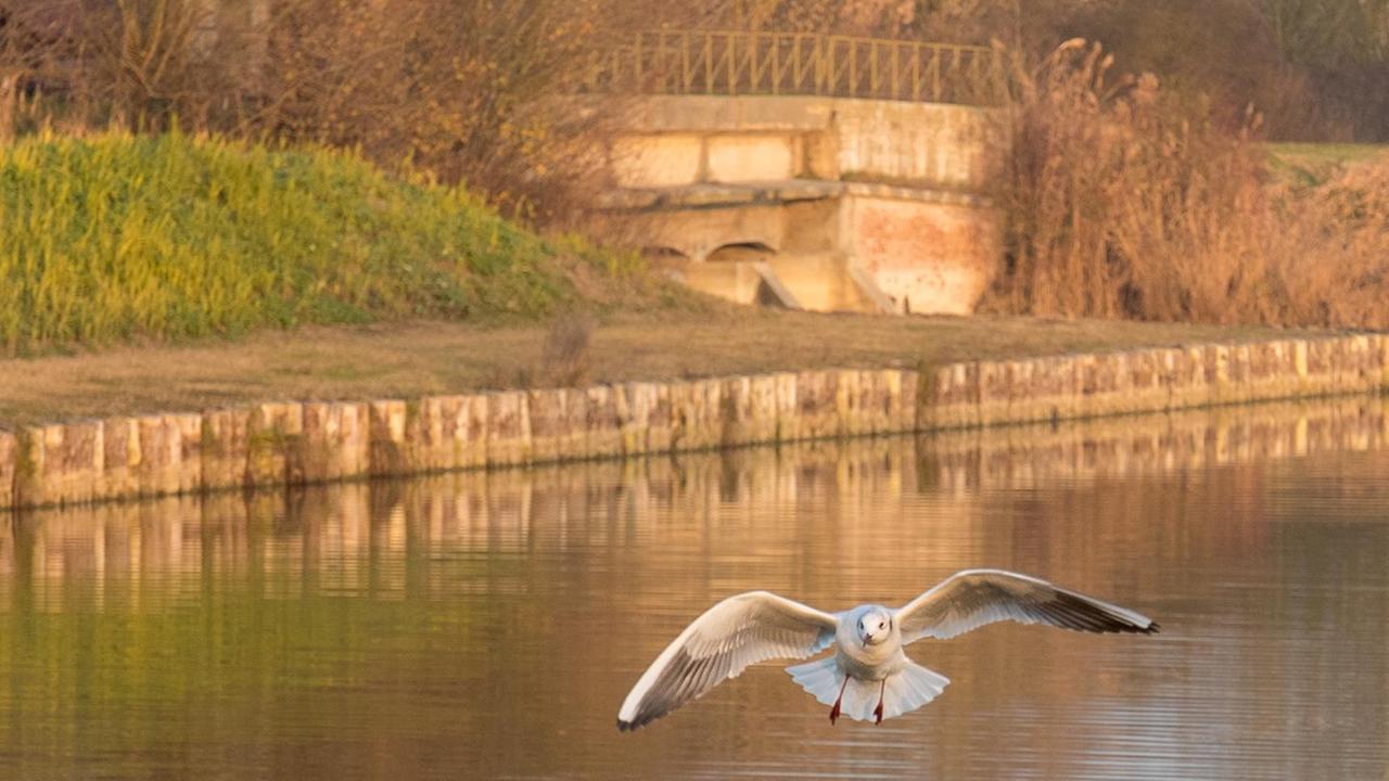 Legno, arte e natura per il Po di Primaro
