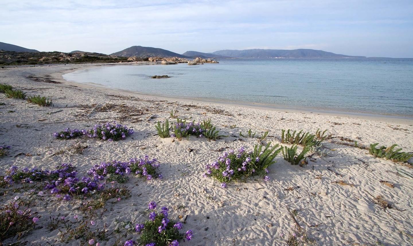 Un altro bagno a Cala Sant’Andrea, multa per due cagliaritani
