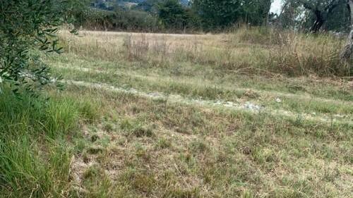 Il terreno dov'è stato scoperto il rave