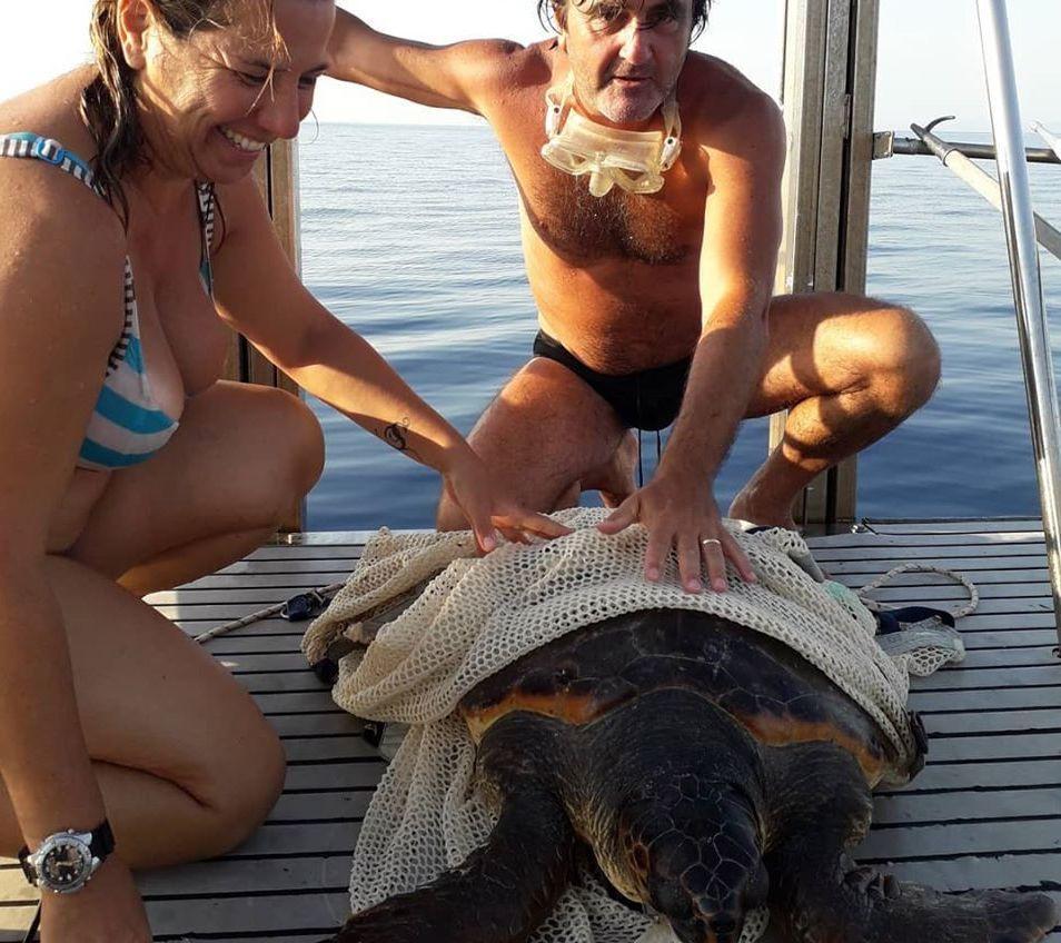 Salvata al largo di Cavo una Caretta Caretta imprigionata dalla plastica 