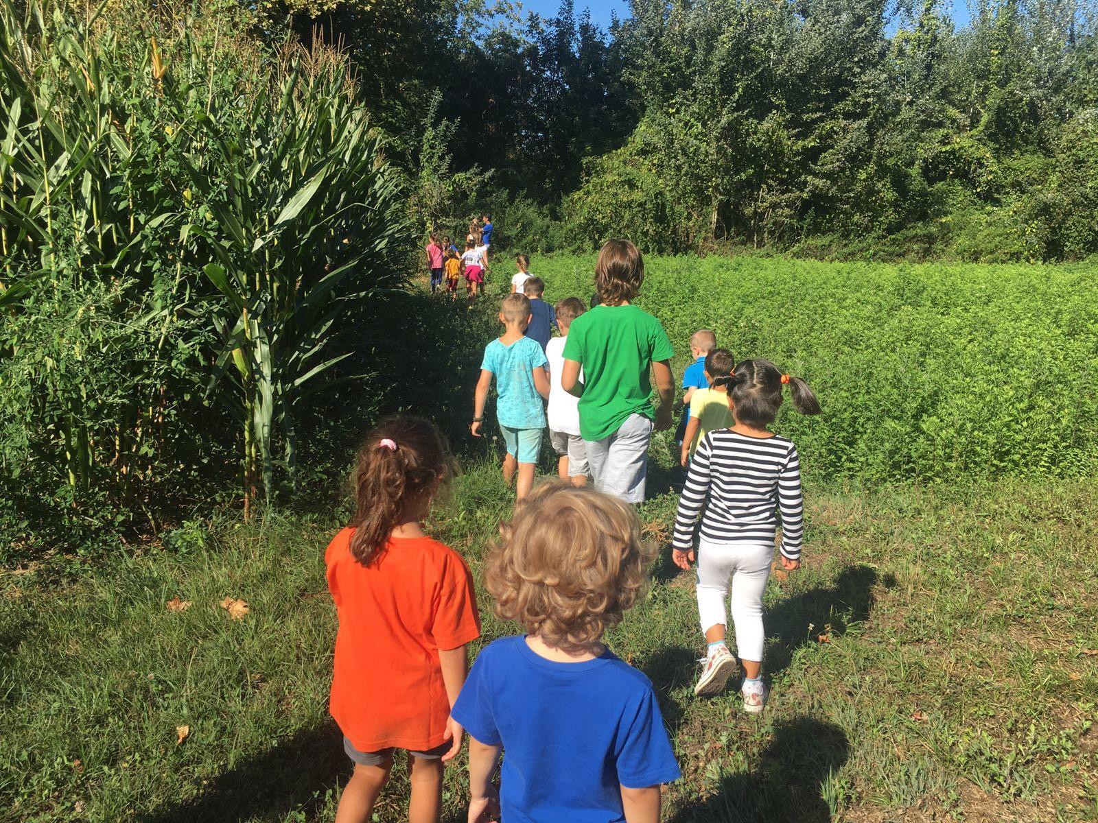 Covid, falso allarme via social: bambini ritirati dai centri estivi 
