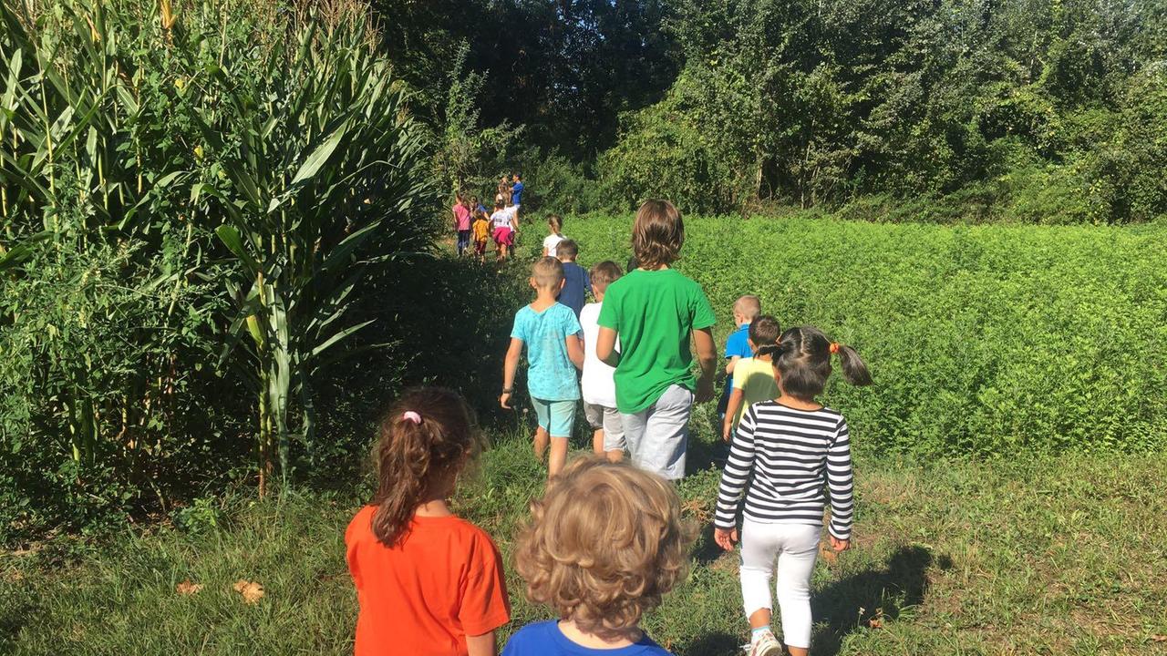 Covid, falso allarme via social: bambini ritirati dai centri estivi