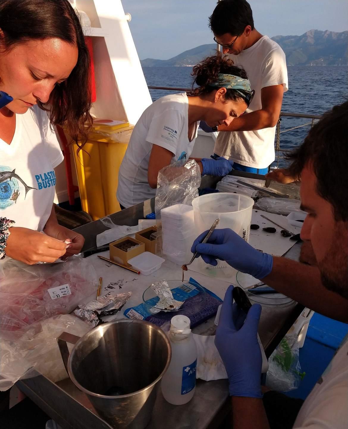Cacciatori di plastiche in azione in mare