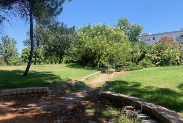 Torangius, zanzare e sporcizia la rabbia dei residenti di via Bonu