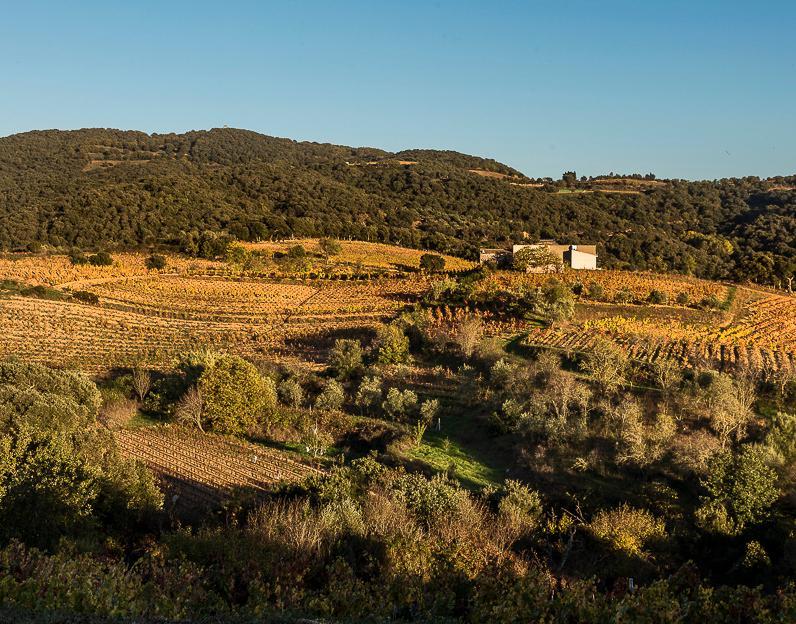 Fondi per Barigadu e Guilcer 