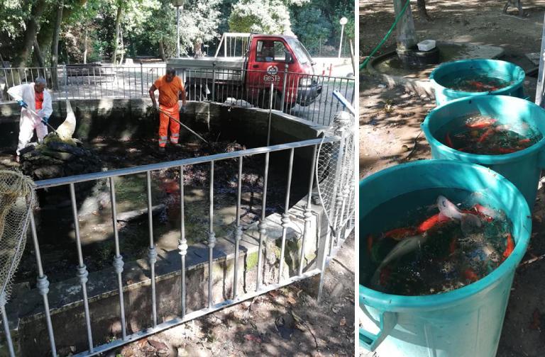 Fontana ripulita dopo la moria di pesci