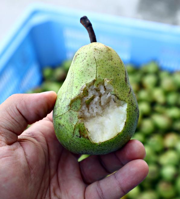 Cento contrasta lo spreco alimentare E la lotta inizia dentro alla scuola 