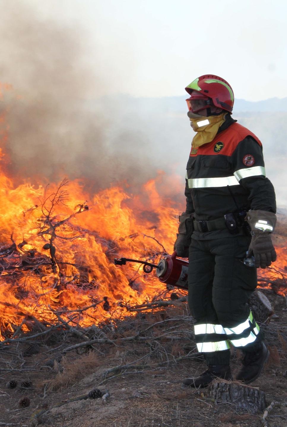 Il corpo forestale si ferma: sciopero il 7 agosto