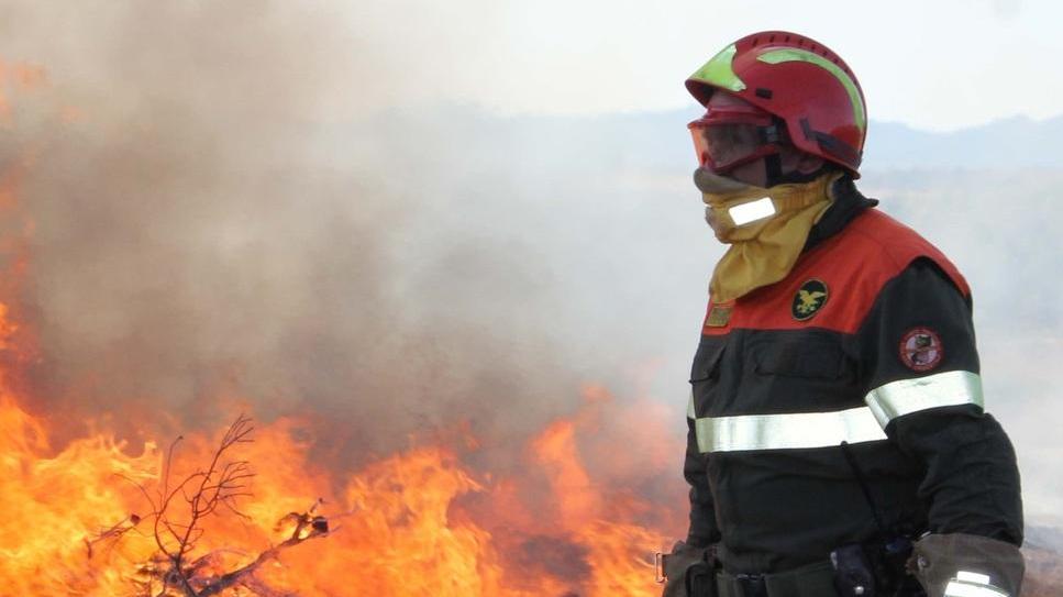 Il corpo forestale si ferma: sciopero il 7 agosto