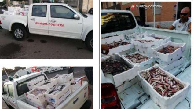 Trecento chili di pesce sequestrati in mercati e ristoranti a Cagliari