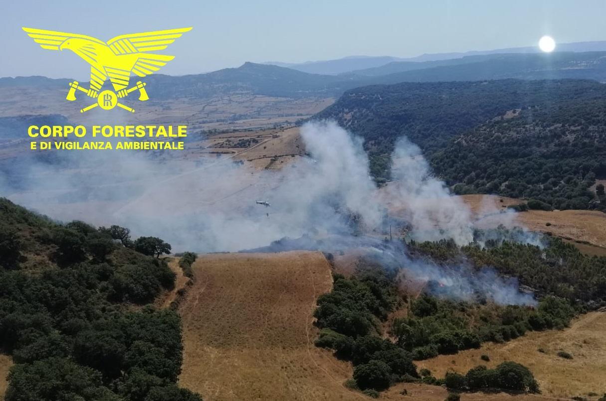Trenta incendi in Sardegna, per 6 sono stati necessari i mezzi aerei