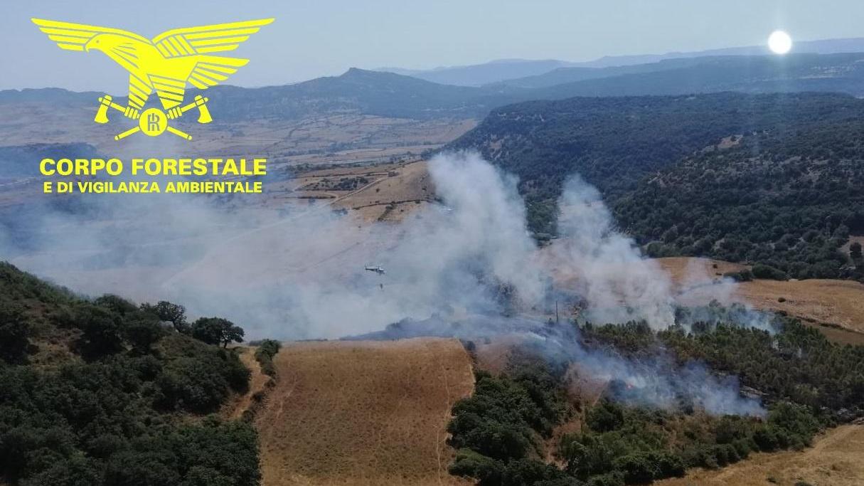 Trenta incendi in Sardegna, per 6 sono stati necessari i mezzi aerei