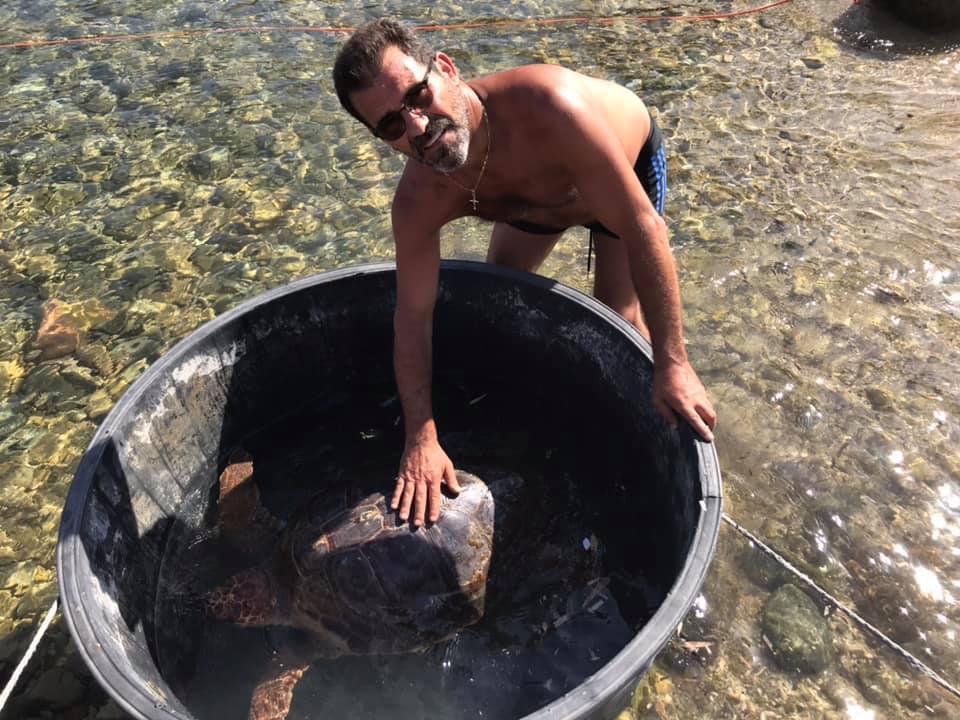 Tartaruga in difficoltà recuperata da un pescatore a Muravera