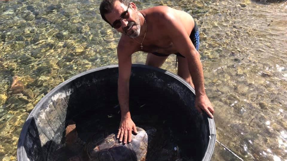 Tartaruga in difficoltà recuperata da un pescatore a Muravera