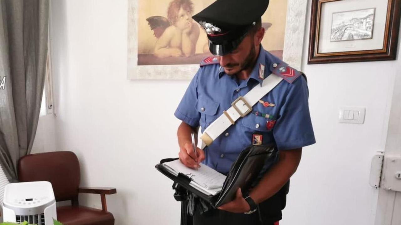 Coltivava marijuana in casa Beccato dai carabinieri 28enne
