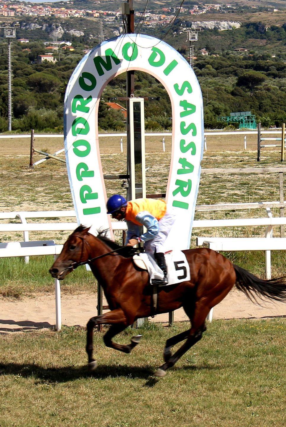 Sa Pala e Lory di Tony fanno le prove per il Criterium Turritano