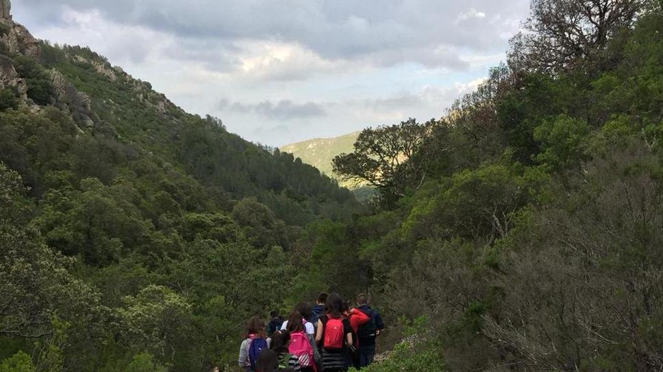 Parco Tepilora, al via i corsi di bird-watching