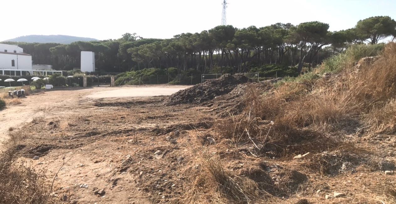 Posidonia, al via l’operazione pulizia 