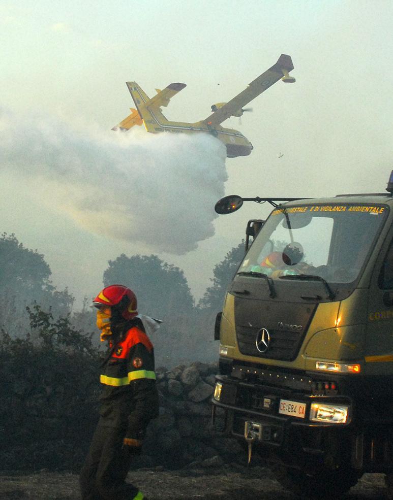 Forestas, norma impugnata Ma la Regione va avanti 
