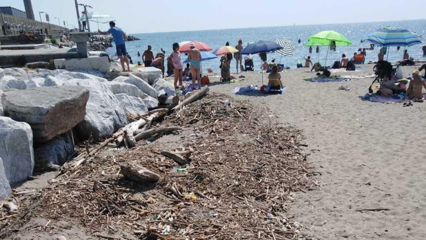 «Detriti e doccia guasta alla spiaggia del porto»