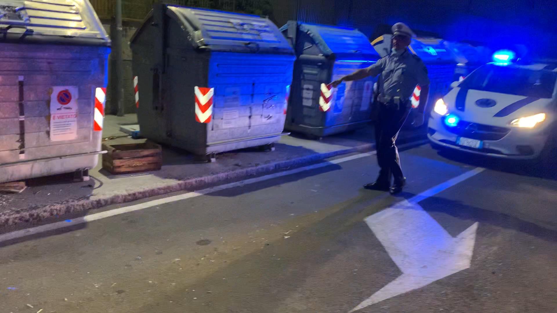 Modena, abbandonano pappagalli e colombi tra  i cassonetti 