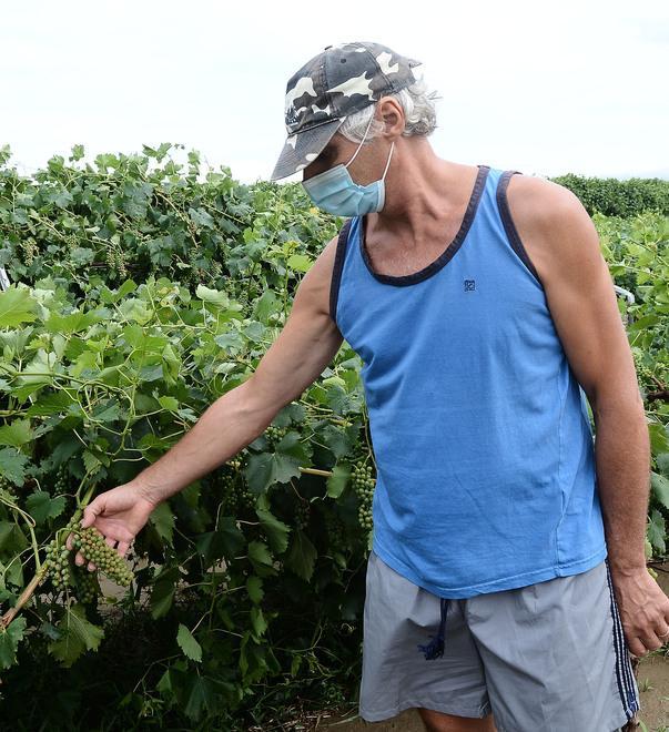 Azienda agricola tra Nonantola e Ravarino: «Ora è tutto distrutto e ricomincio da capo» 