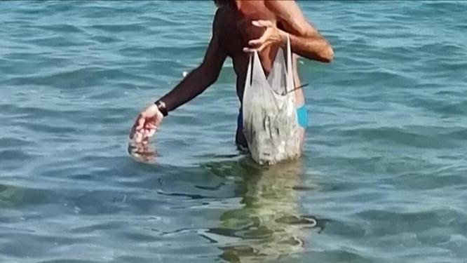 Ancora plastica a Reale