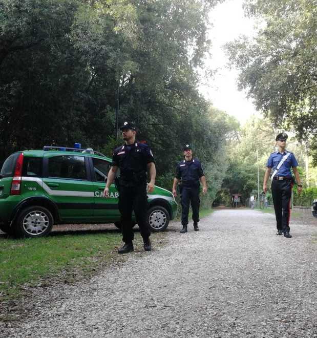 Ferrara, caccia ai killer degli alberi: via alle indagini 
