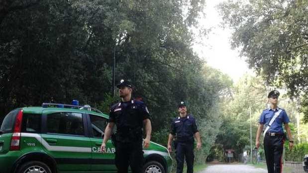 Ferrara, caccia ai killer degli alberi: via alle indagini